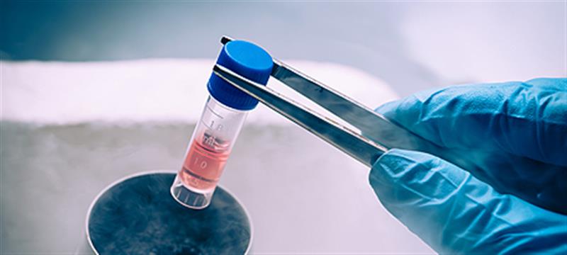 N Biotech Co., Ltd. 历史 2008-2024 — 转型至干细胞整体解决方案后